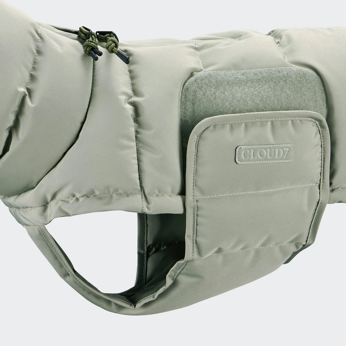 Dachshund Coat Winter Alaska Light Olive