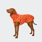 Hundemantel Alaska Seersucker Orange