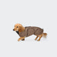 Dog Coat Brooklyn Dachshund Flannel Fern Green