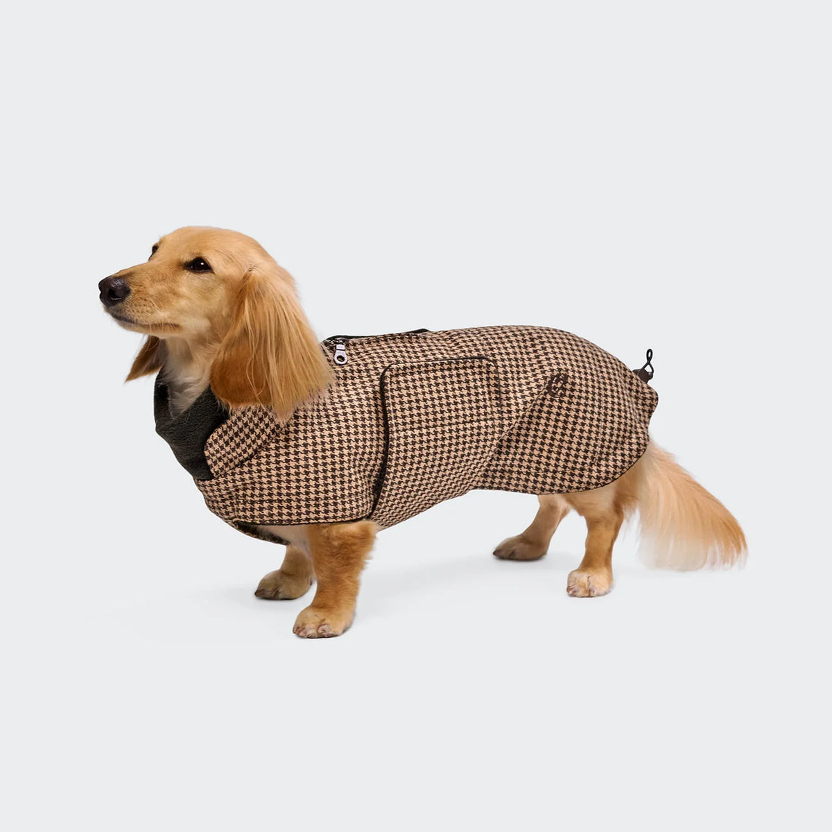 Dog Coat Brooklyn Dachshund Flannel Fern Green