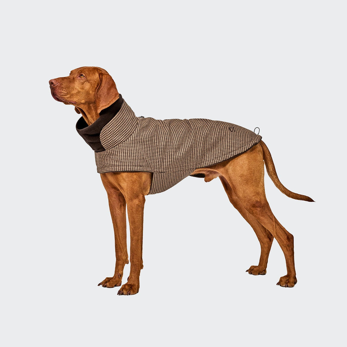 Hundemantel Brooklyn Hahnentritt