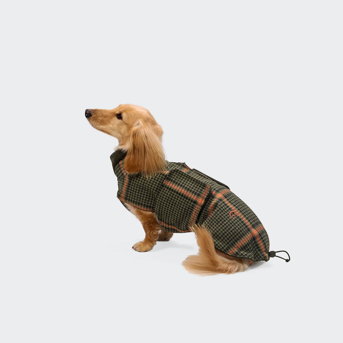 Dog Coat Brooklyn Dachshund Flannel Fern Green