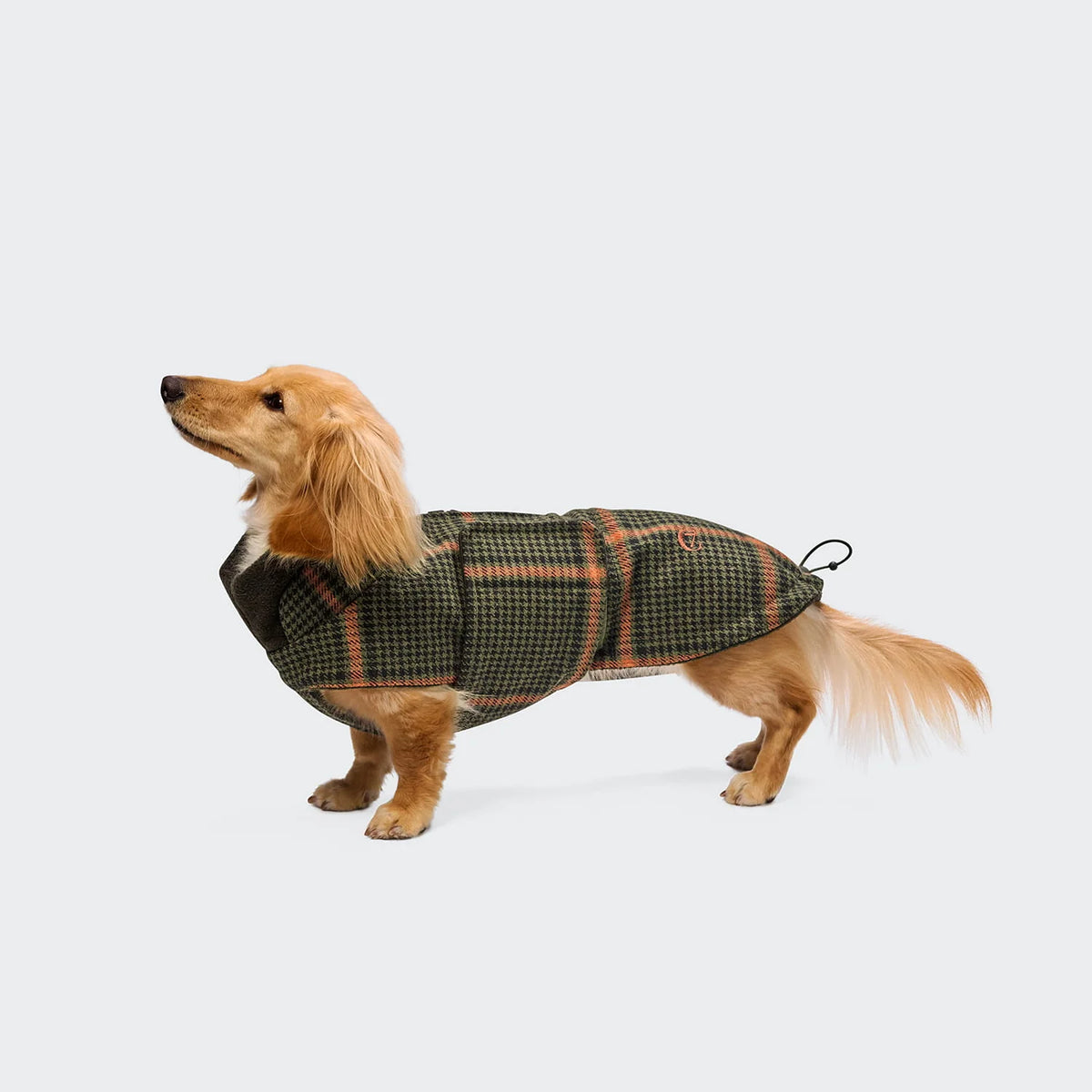 Dog Coat Brooklyn Dachshund Flannel Fern Green