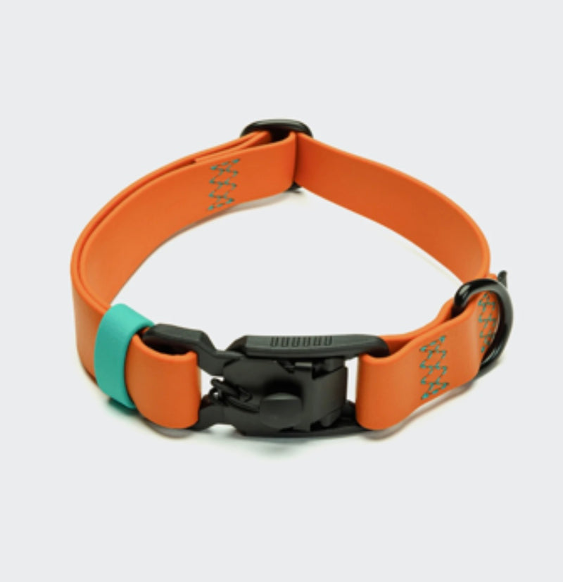 Hundehalsband BioThane Ipanema Orange und Aqua