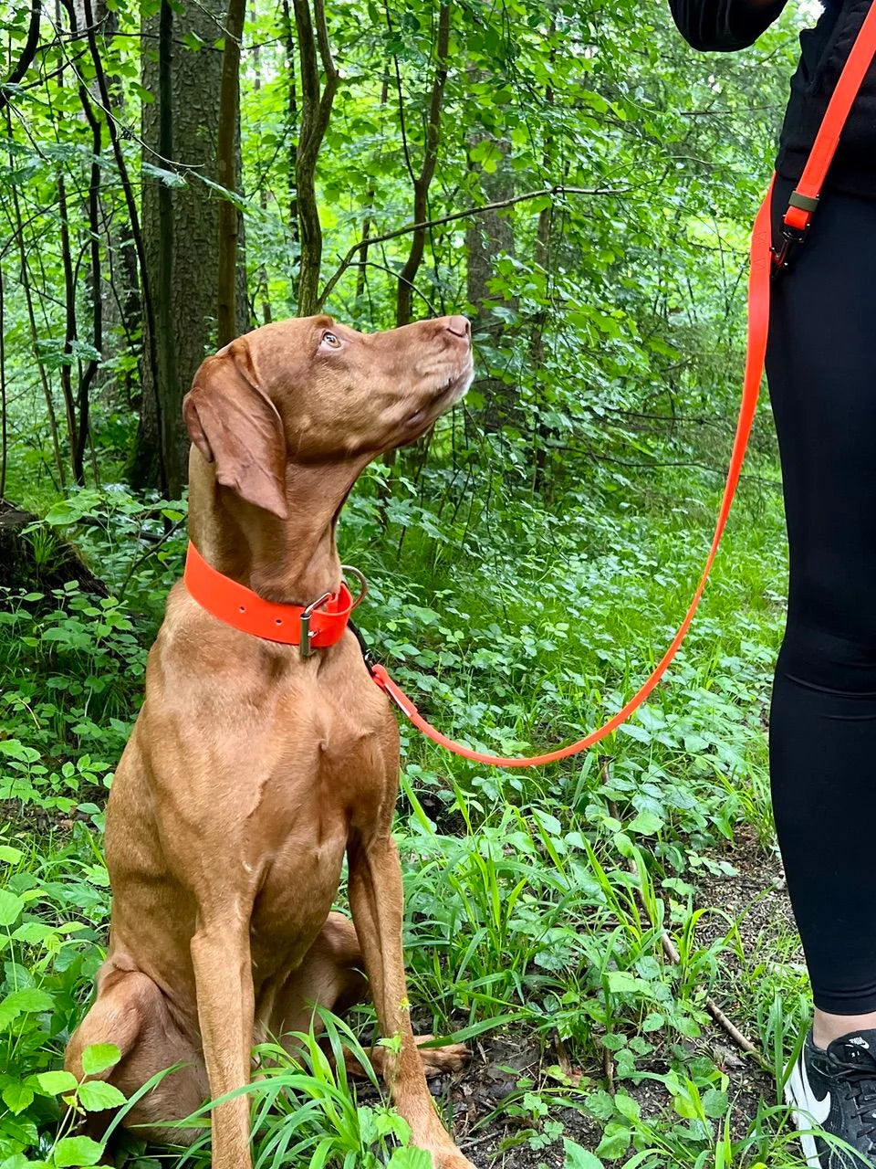 Hundeleine Charlie aus Biothane in neon orange mit olivfarbenen Akzenten