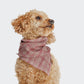 Hundehalstuch Bandana Check Red - Light Green