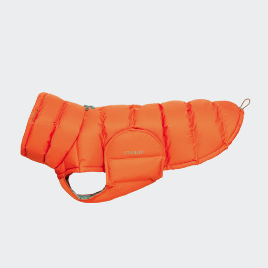 Hundemantel Alaska Burnt Orange (2024)