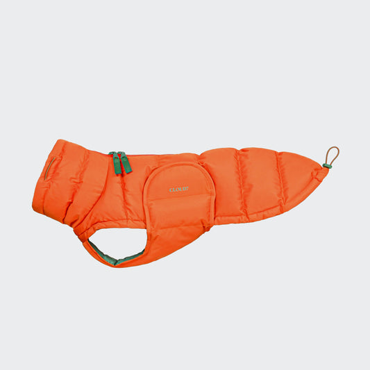 Dackelmantel Winter Alaska Burnt Orange (2024)