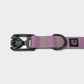 Hundehalsband BioThane Ipanema Lilac und Neon Green