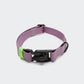 Hundehalsband BioThane Ipanema Lilac und Neon Green