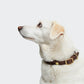 Hundehalsband Central Park Saddle Brown Gold