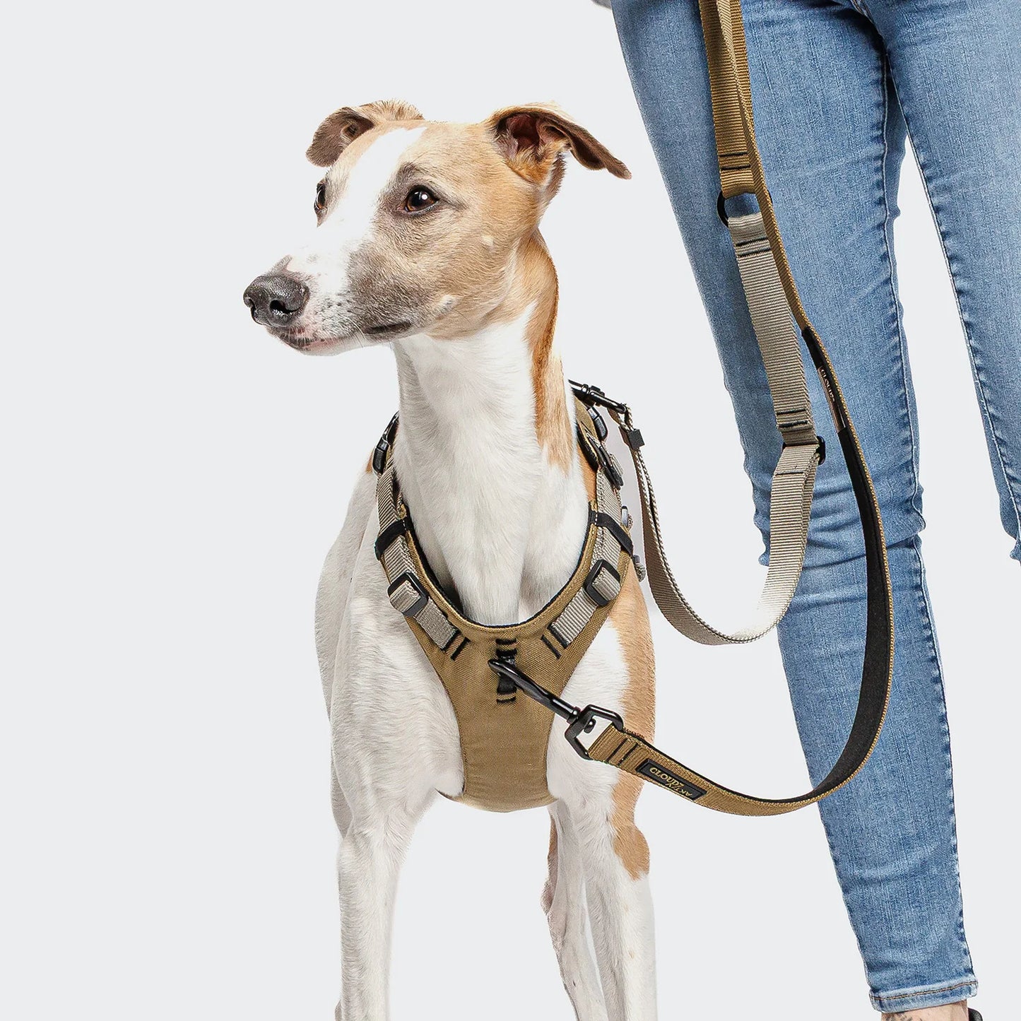 L-1 Freihandleine AKTIV Khaki/Grey