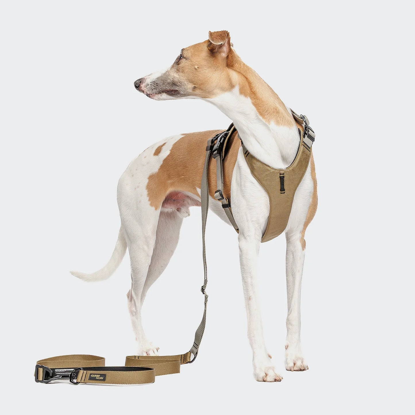 L-1 Freihandleine AKTIV Khaki/Grey