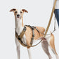 L-1 Freihandleine AKTIV Khaki/Grey