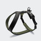 Y-1 Geschirr AKTIV Air-Mesh Black