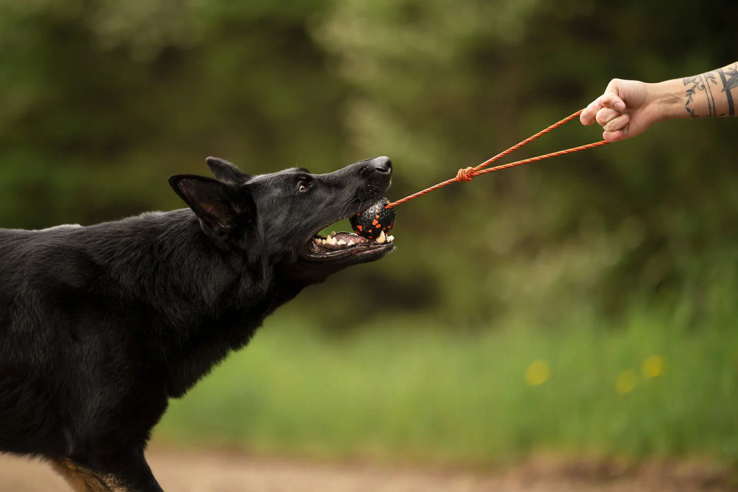 Hundespielzeug Wurfball mit Schnur
