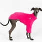 Pullover in Magenta für Italienisches Windspiel