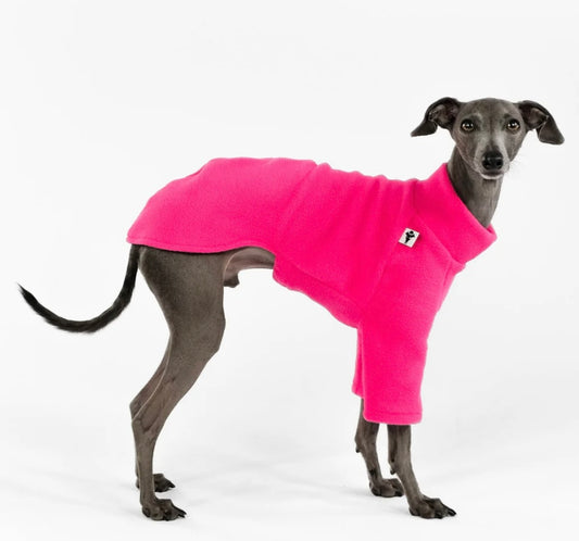 Pullover in Magenta für Italienisches Windspiel