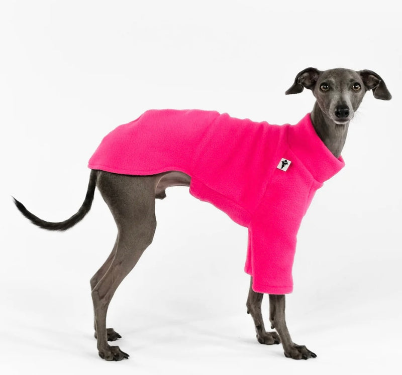 Pullover in Magenta für Italienisches Windspiel