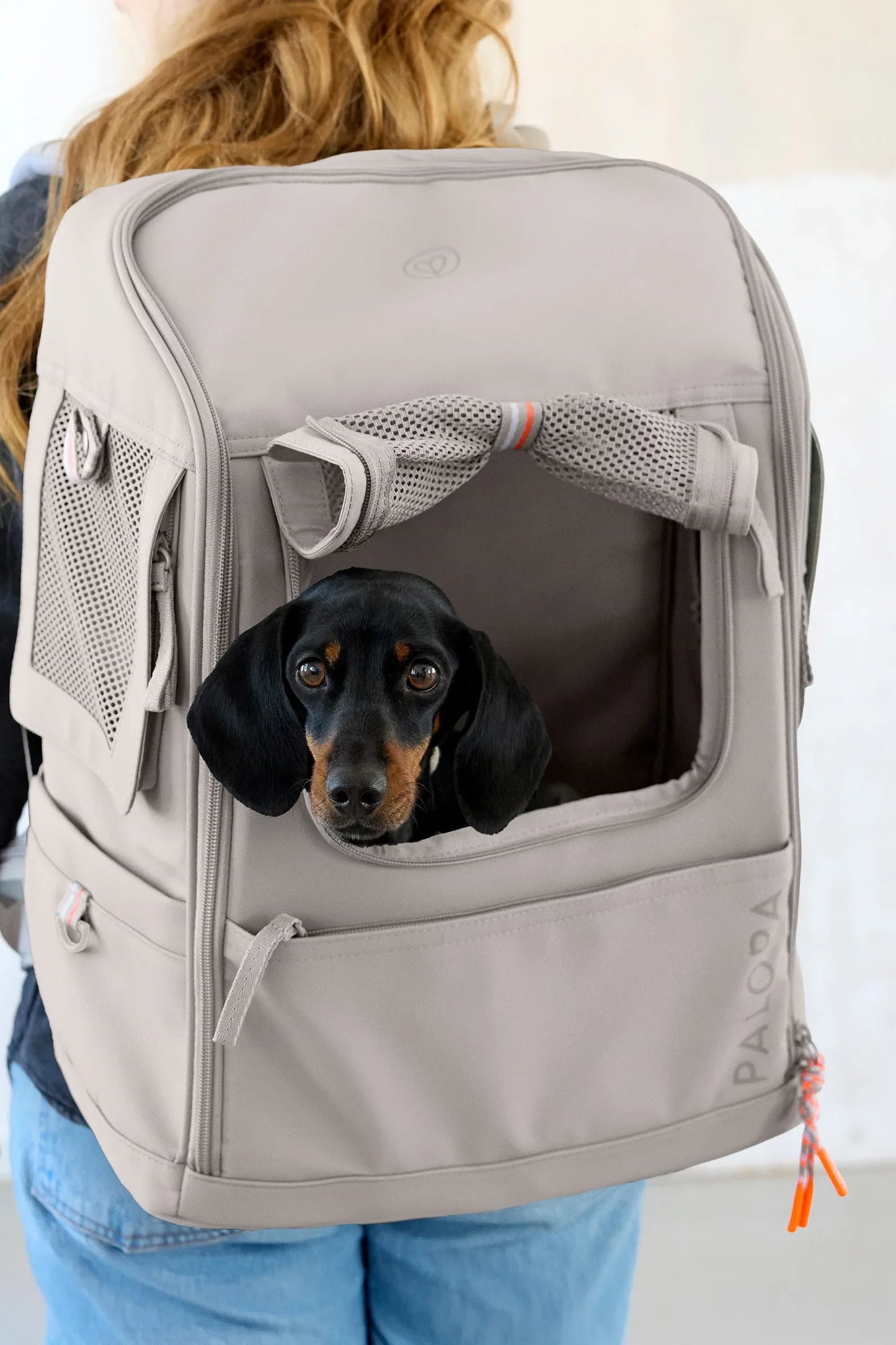 Hundetragerucksack Kari taupe