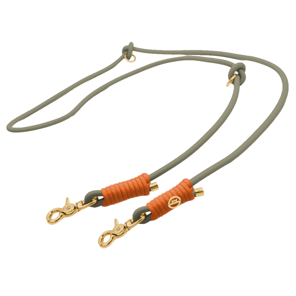 Leine aus Nappaleder in Olive mit Takelung Orange
