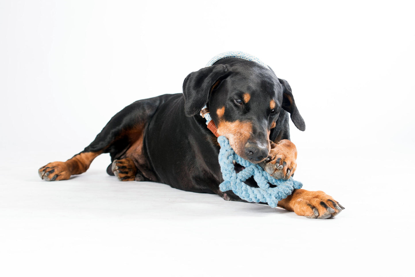 Hundespielzeug Skipper