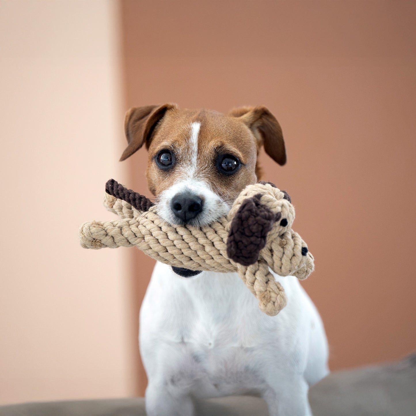 Hundespielzeug Doggy Dog