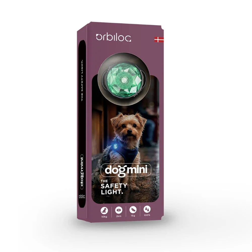 Orbiloc Dog Mini safety light mint