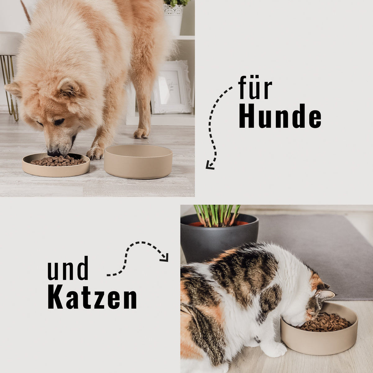 Silikon-Futternapf mit Deckel in taupe