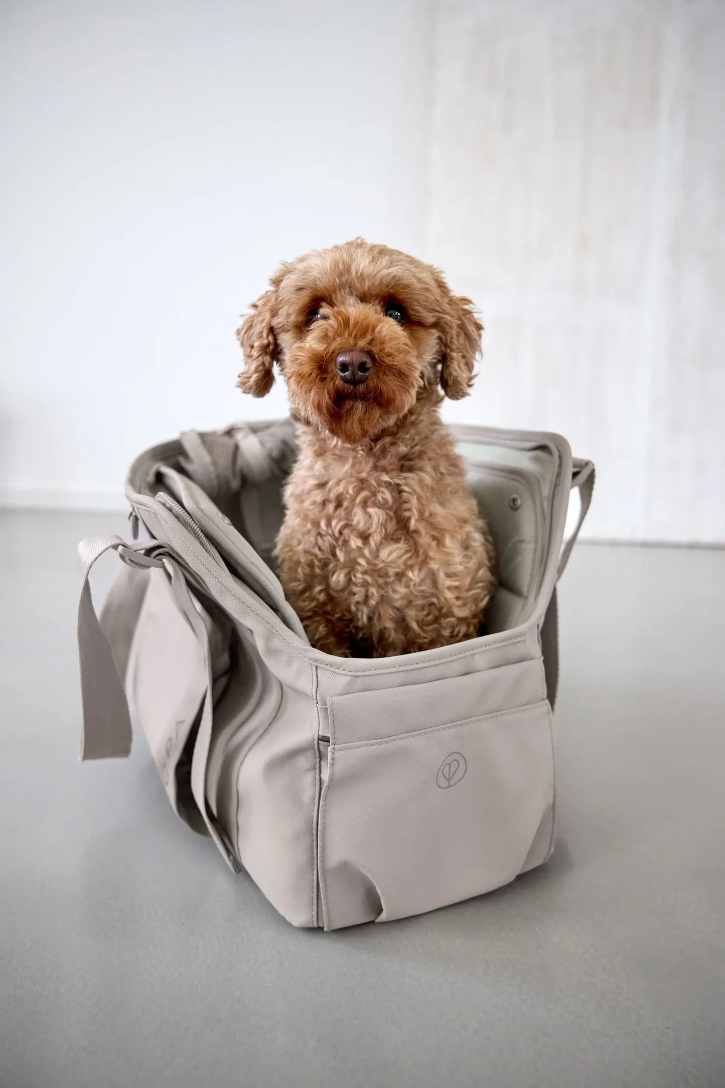 Hundetragetasche WEDA taupe