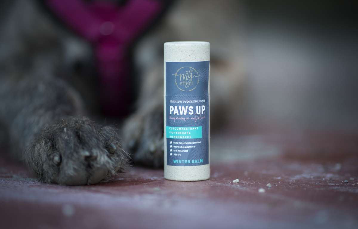 Paws Up Pfotenbalsam Winter