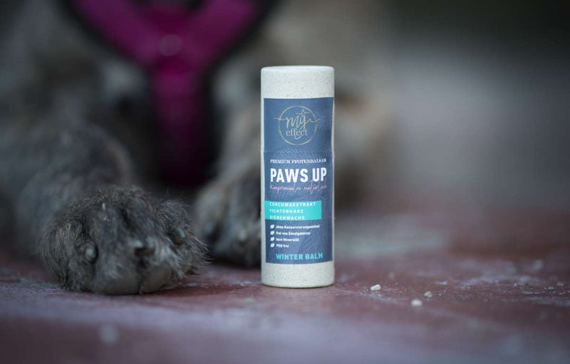 Paws Up Pfotenbalsam Winter
