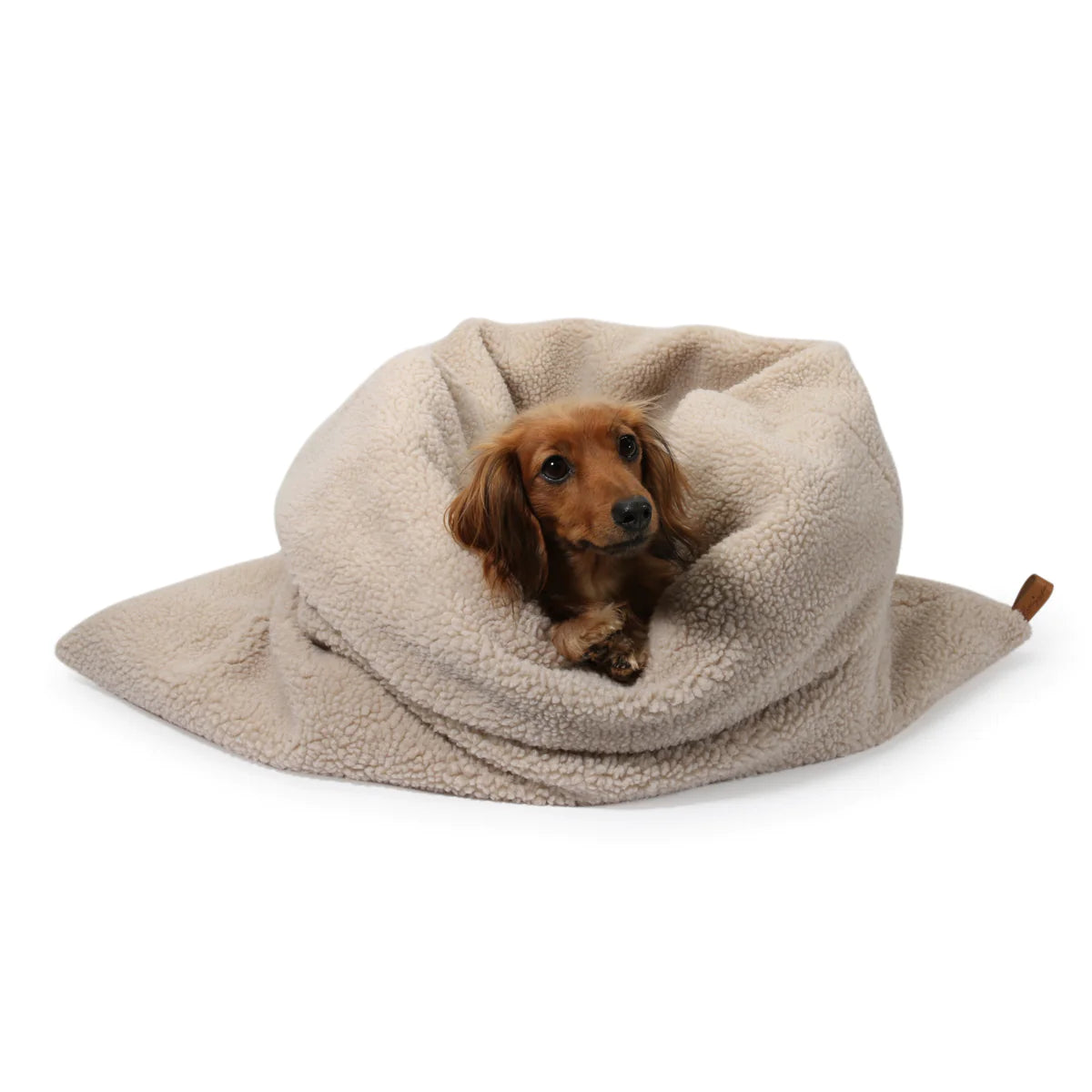 dackel schlafsack Kuschelschlafsack Teddy Beige – SCADI