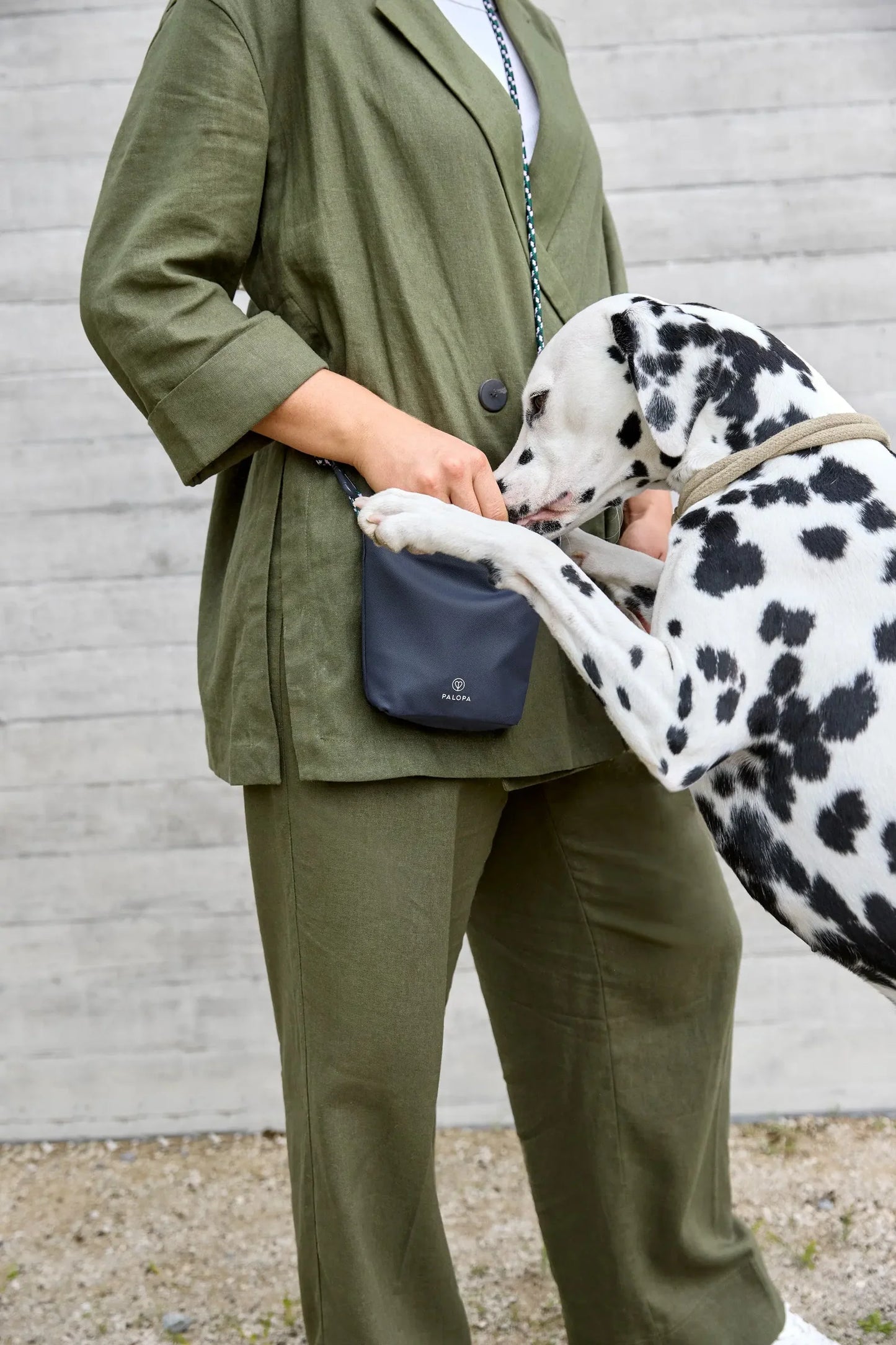 Dog Snack Bag Karl in navy