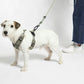 Modena Hundegeschirr in grolive