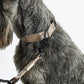Modena Halsband Greige