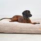 Senso Hundekissen