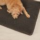 Senso dog cushion
