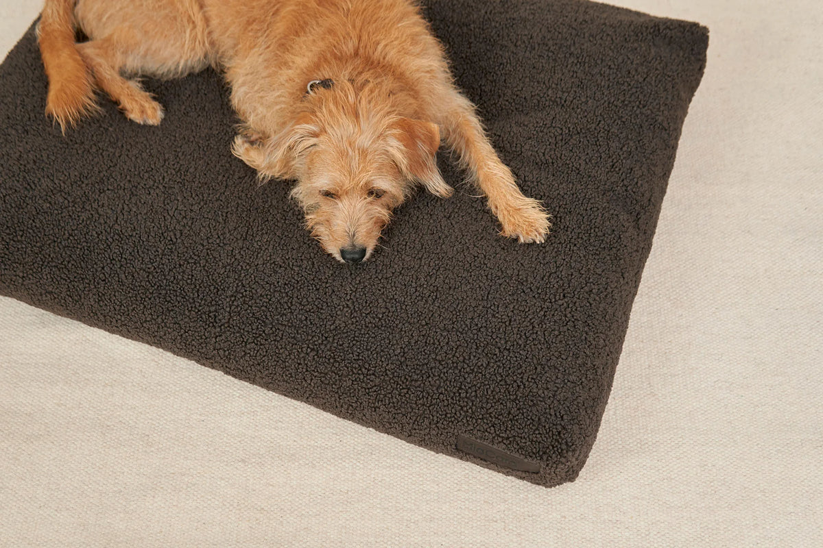 Senso dog cushion