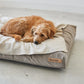 Hundedecke Unica in Greige