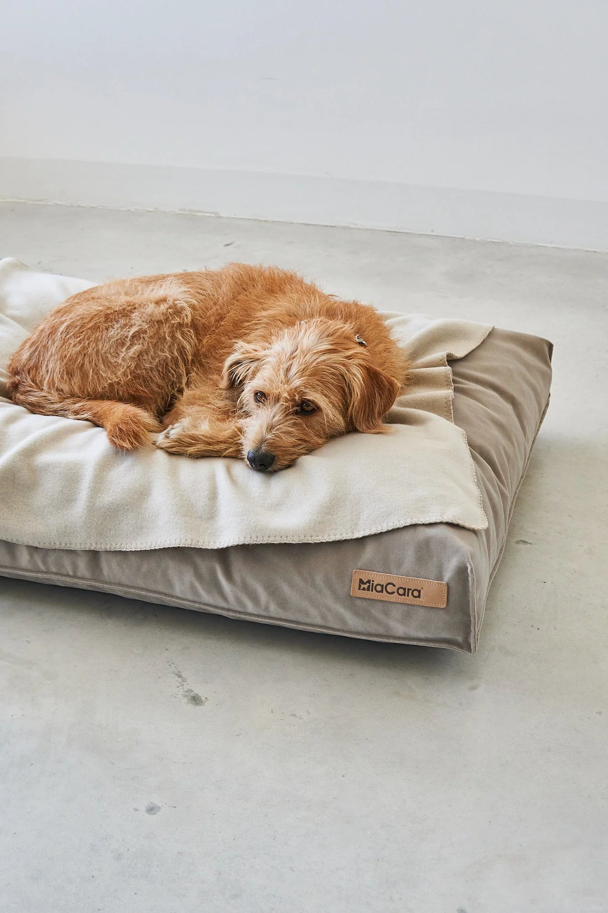 Hundedecke Unica in Greige