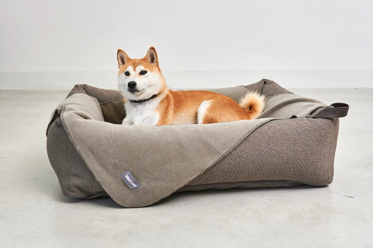 Hundedecke Unica in kakao