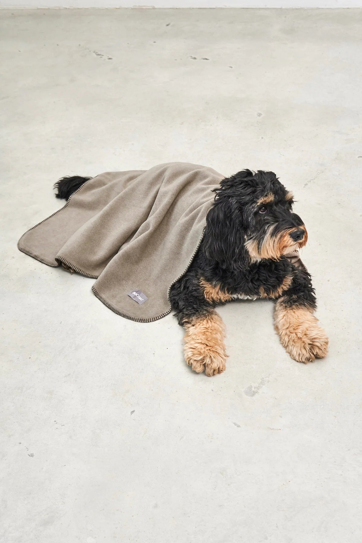Hundedecke Unica in kakao