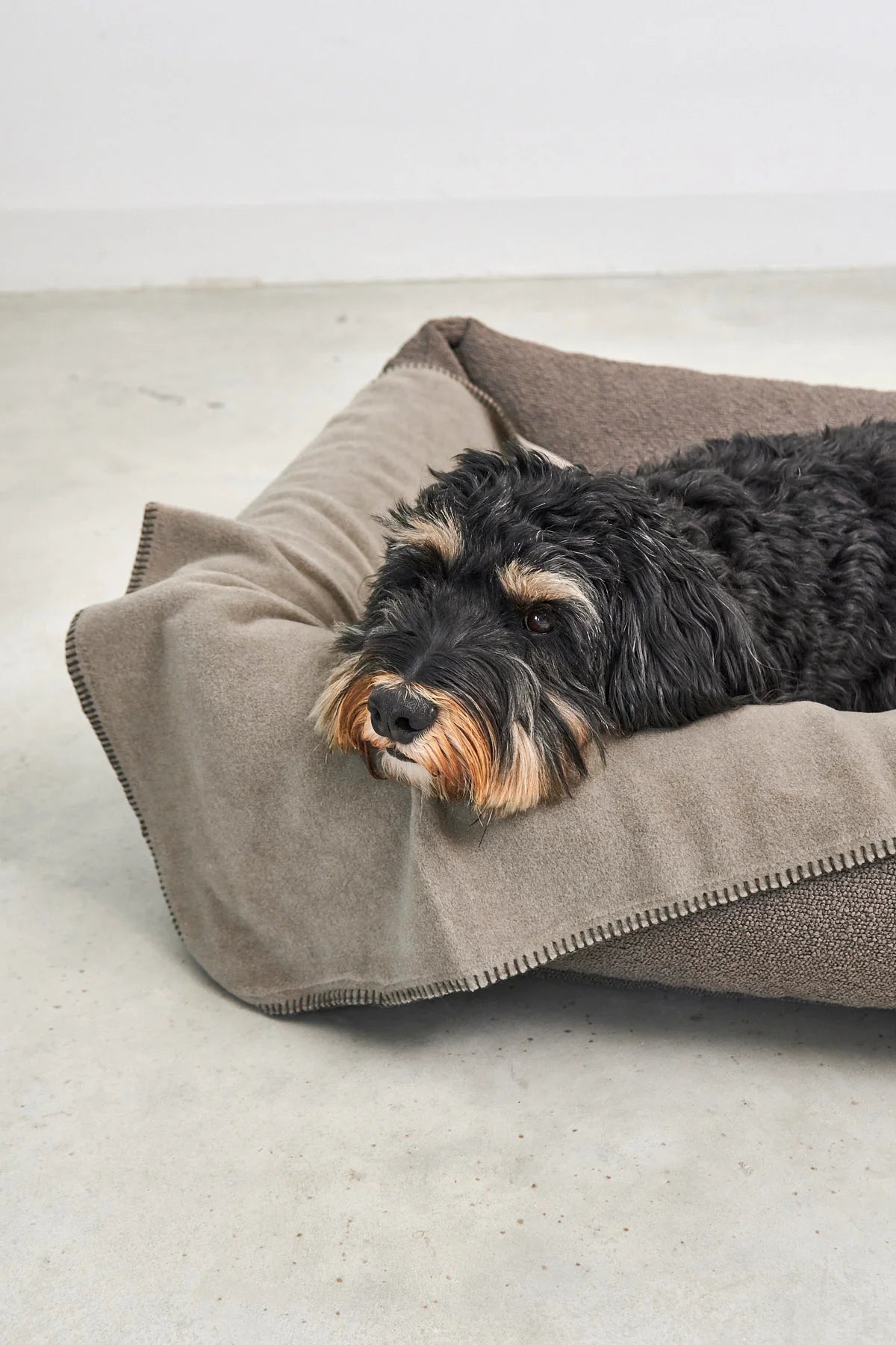 Hundedecke Unica in kakao