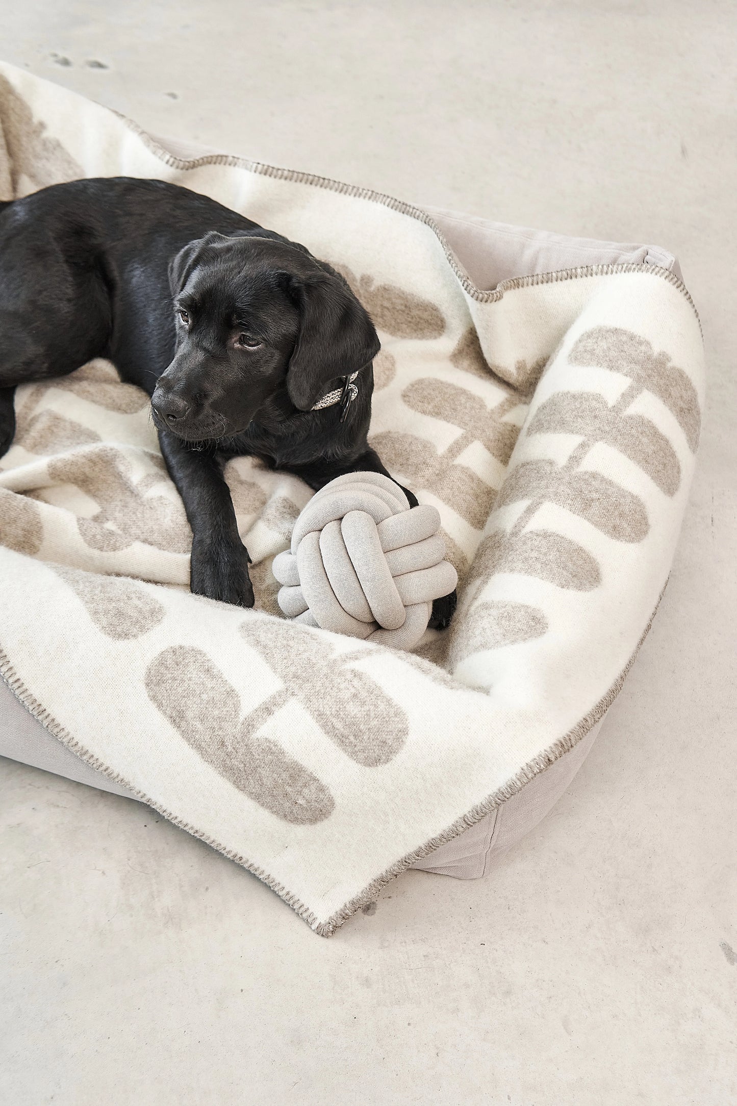 Flora Hundedecke Cappuccino – Natur
