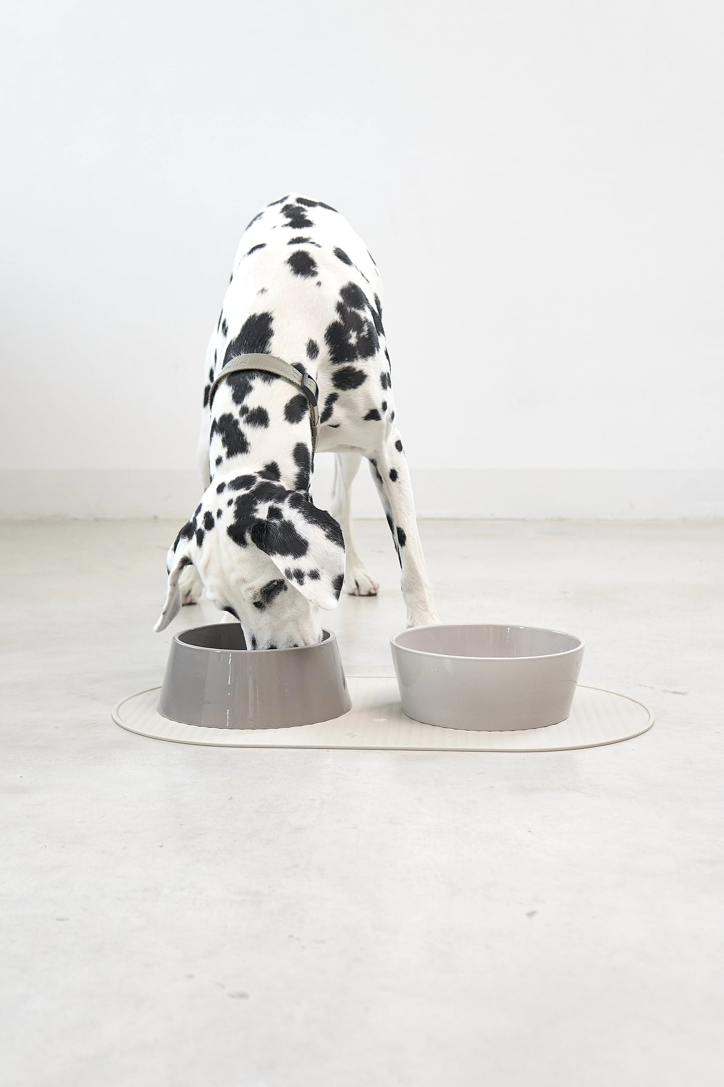 Pasto Hundenapfmatte in greige