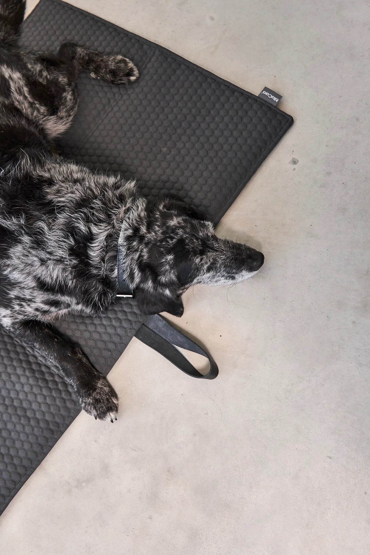Cosmo Favo Reisedecke in graphit