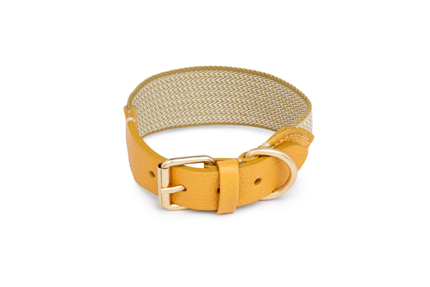 Hundehalsband James Yellow