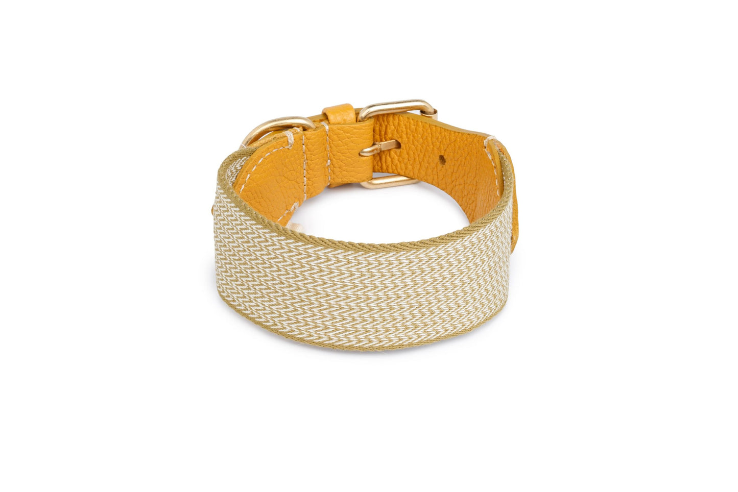 Hundehalsband James Yellow
