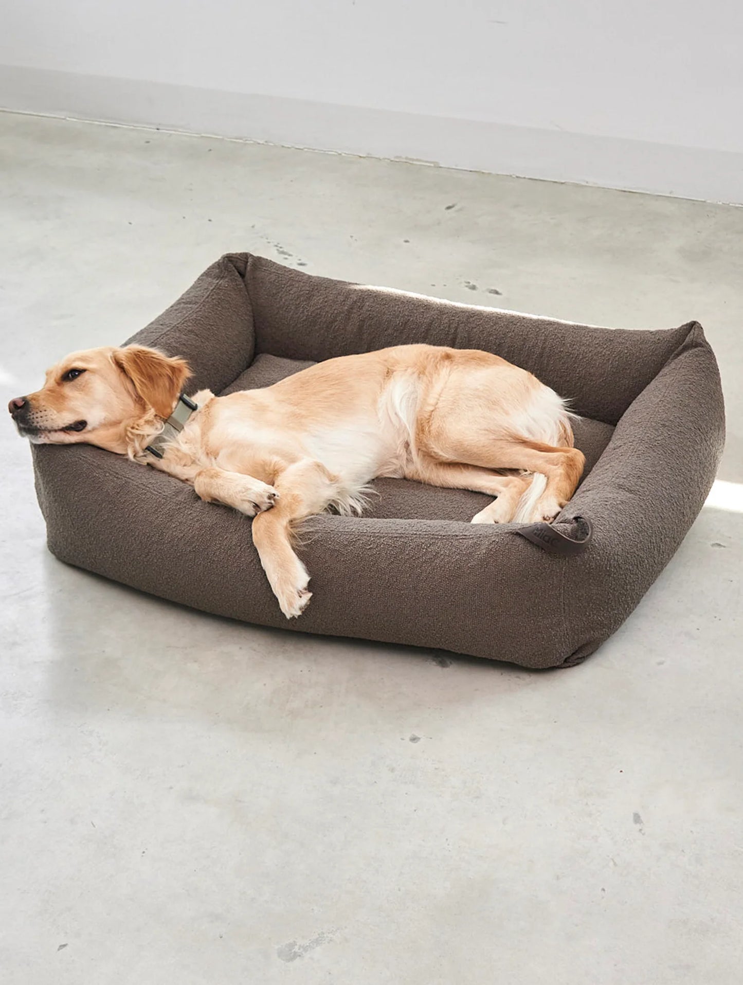 Hundebett Mondo Schokolade